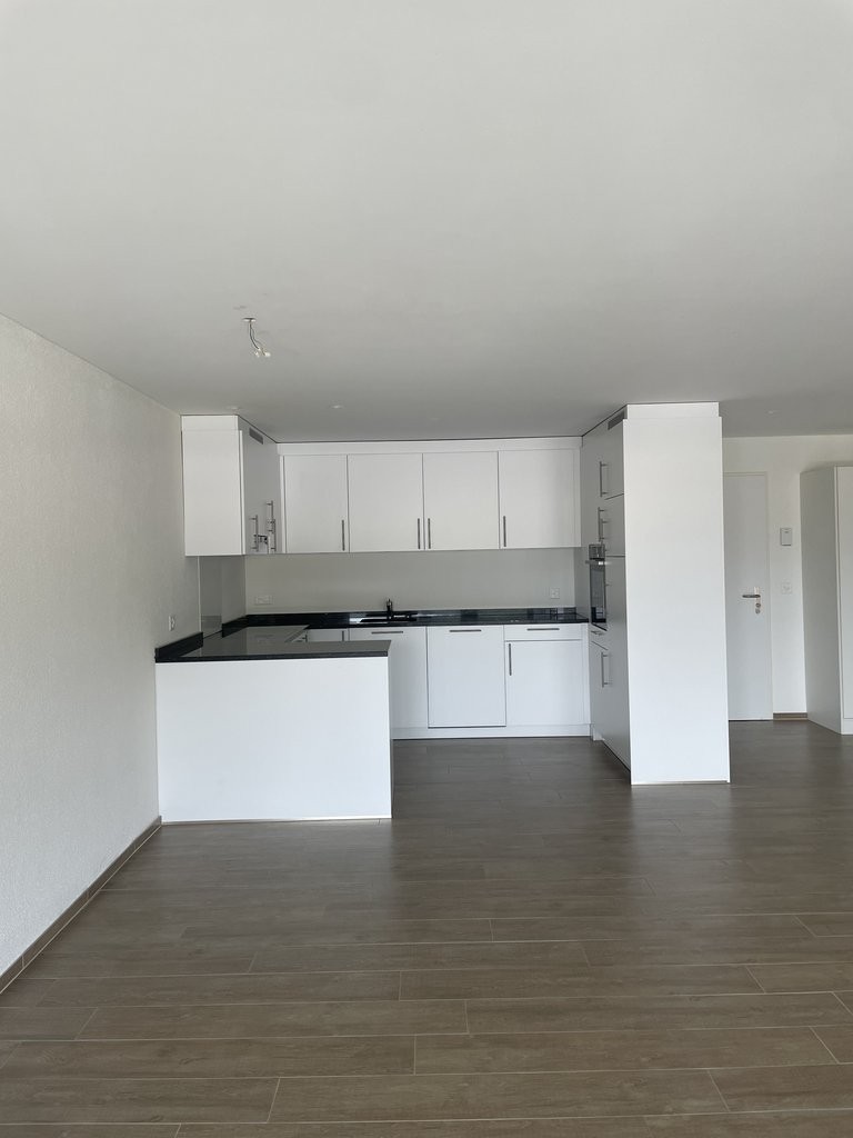 Helle und moderne Attikawohnung im Herzen von Menziken - 3