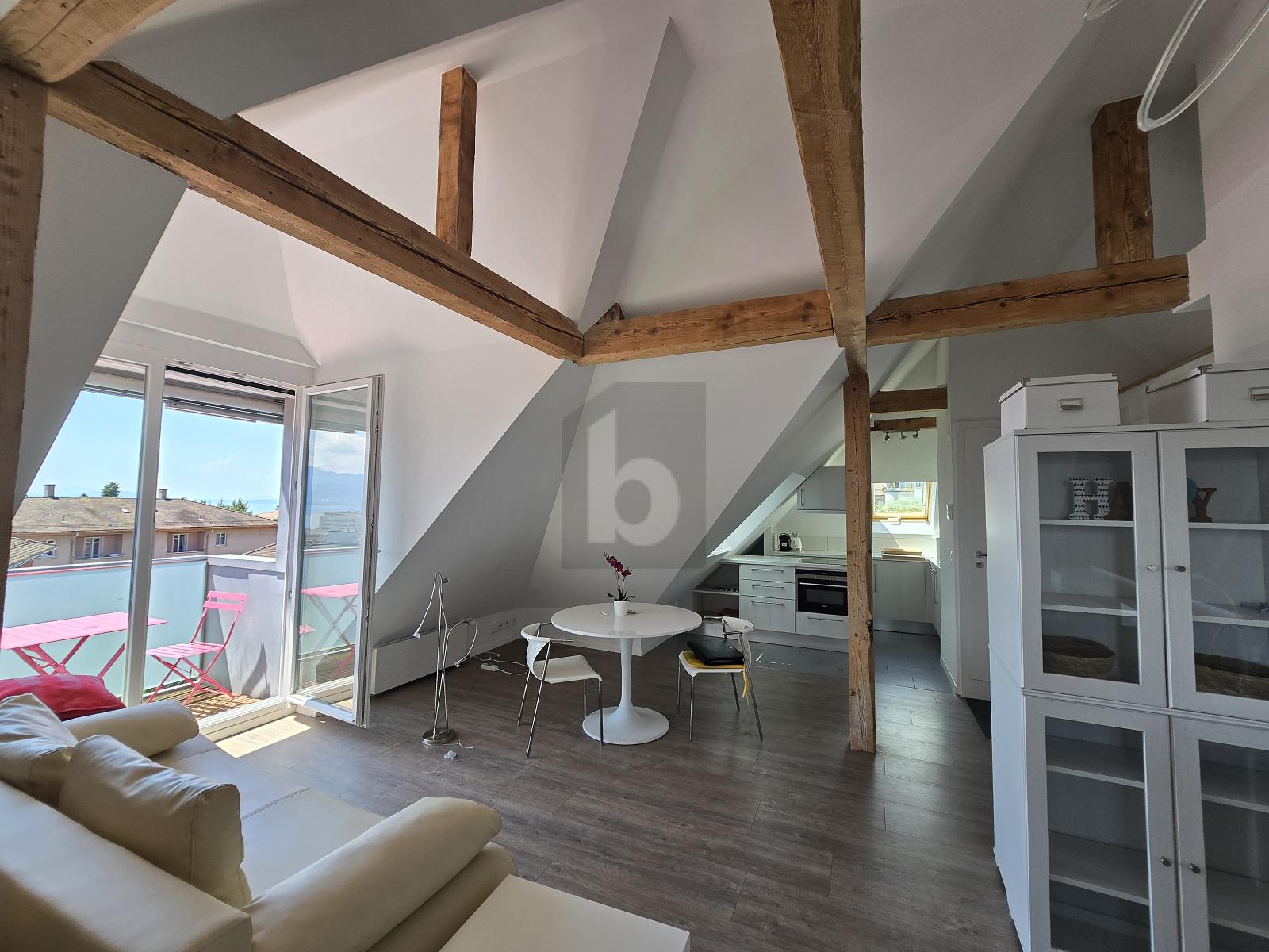 MAGNIFIQUE LOFT PROCHE DU LAC - 0