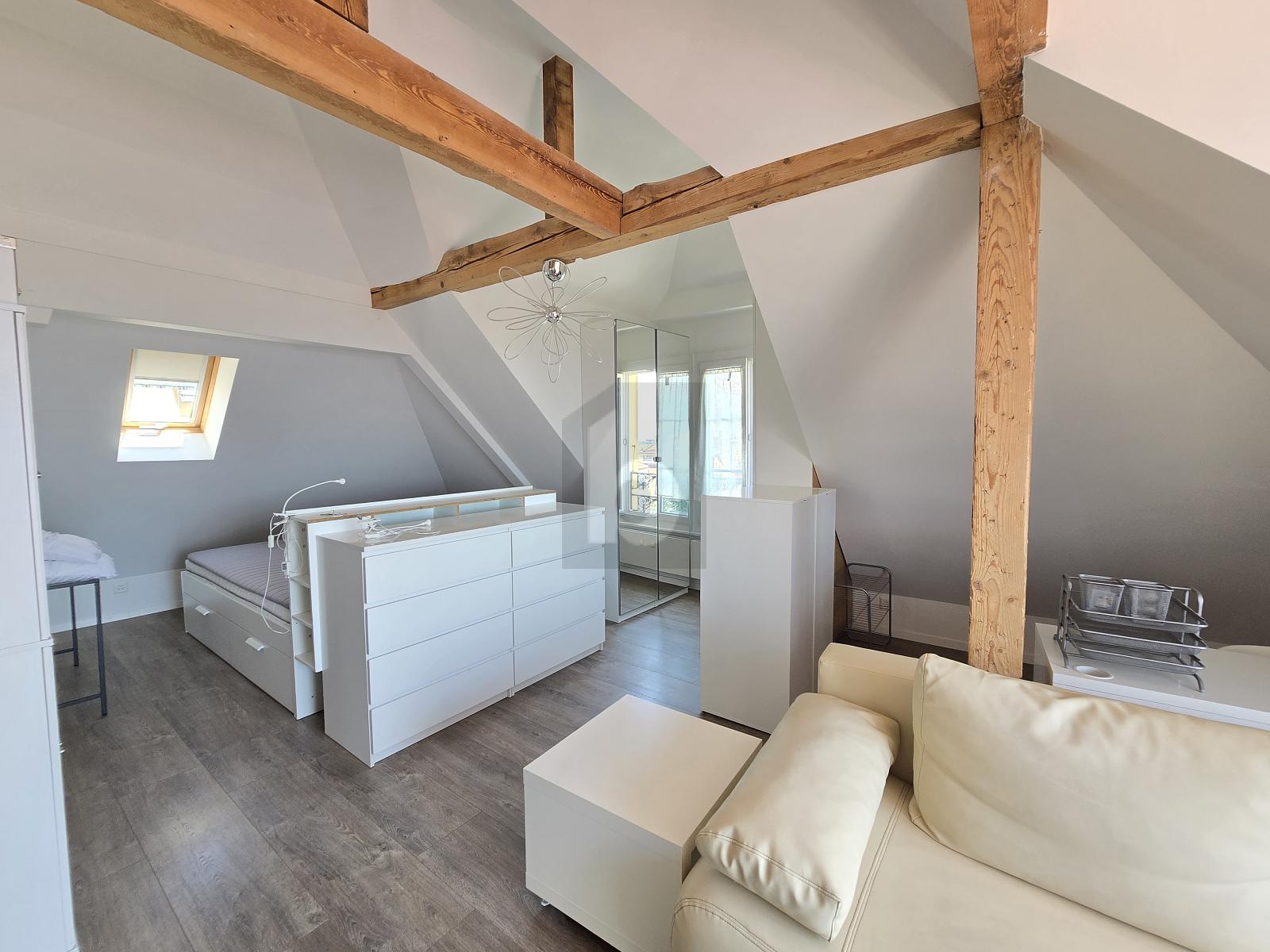 MAGNIFIQUE LOFT PROCHE DU LAC - 1