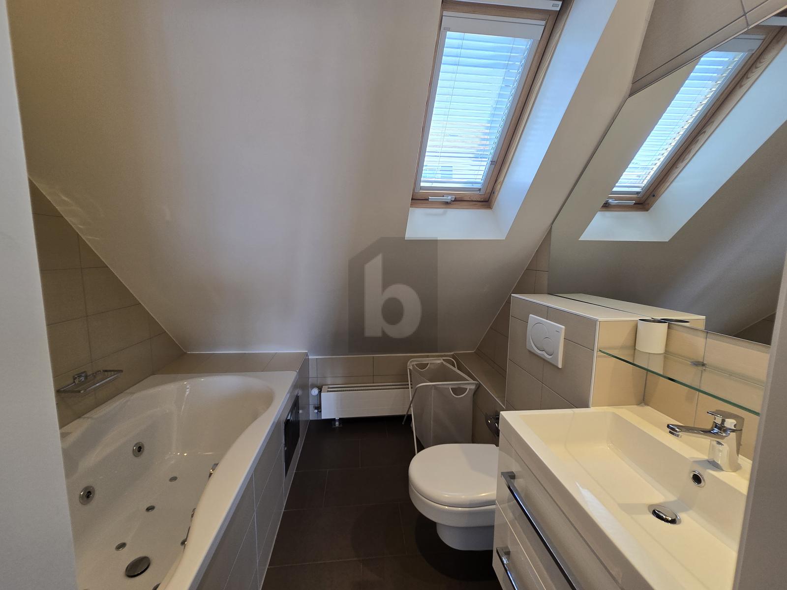 MAGNIFIQUE LOFT PROCHE DU LAC - 3