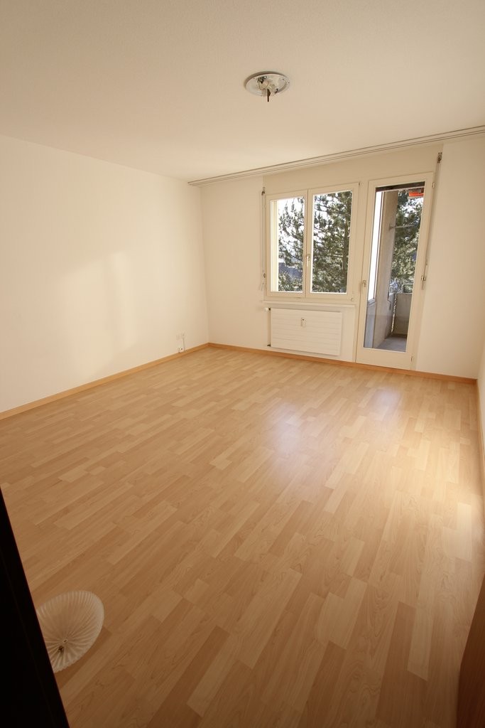 Grosszügige Wohnung an ruhiger Lage! - 1