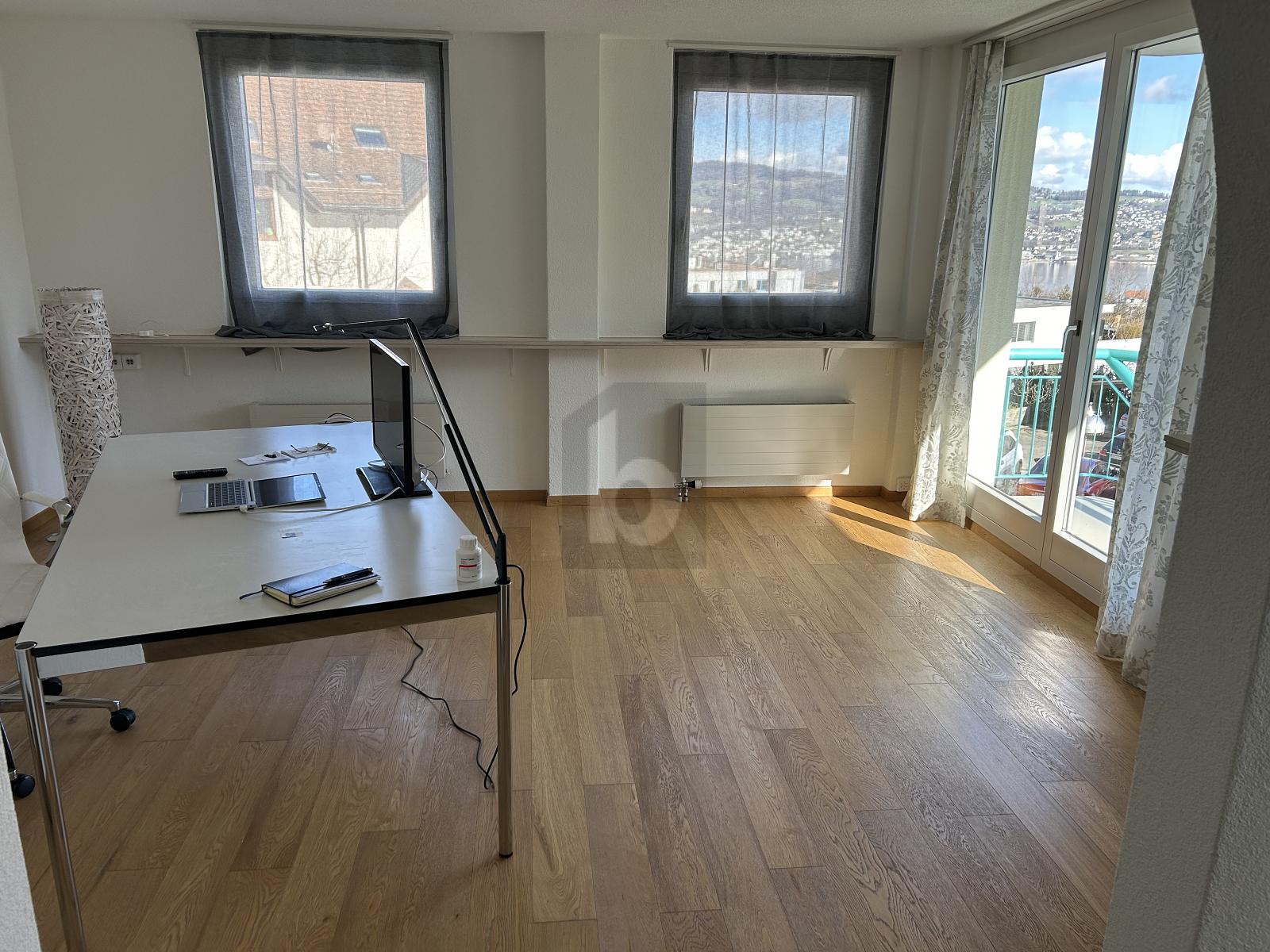 ARBEITSPLATZ MIT AUSSICHT AUF DEN ZÜRICHSEE - 0