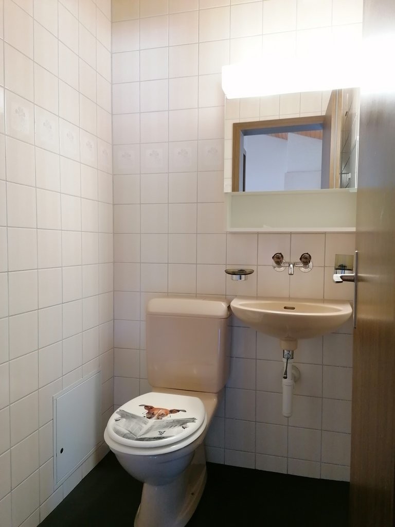 Gemütliche Dachwohnung zum Wohlfühlen! - 7