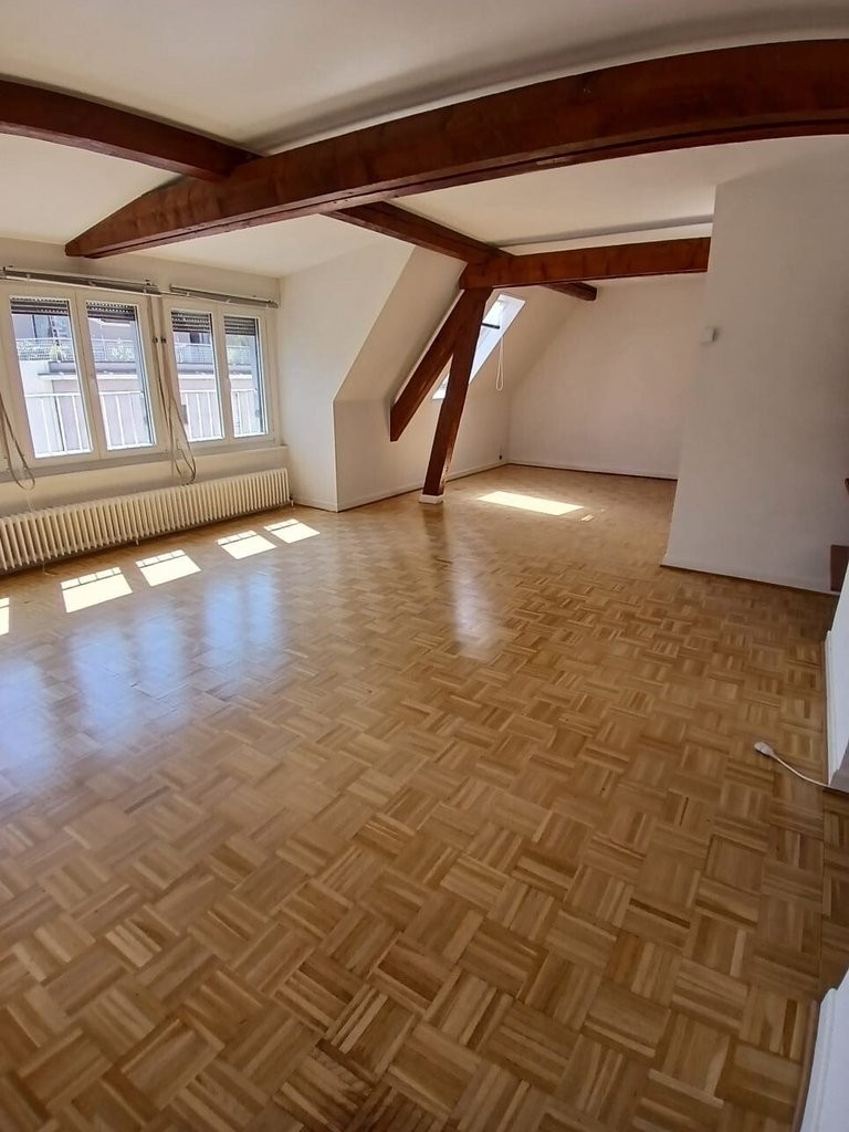 Charmant appartement à louer au coeur de Plainpalais ! - 1