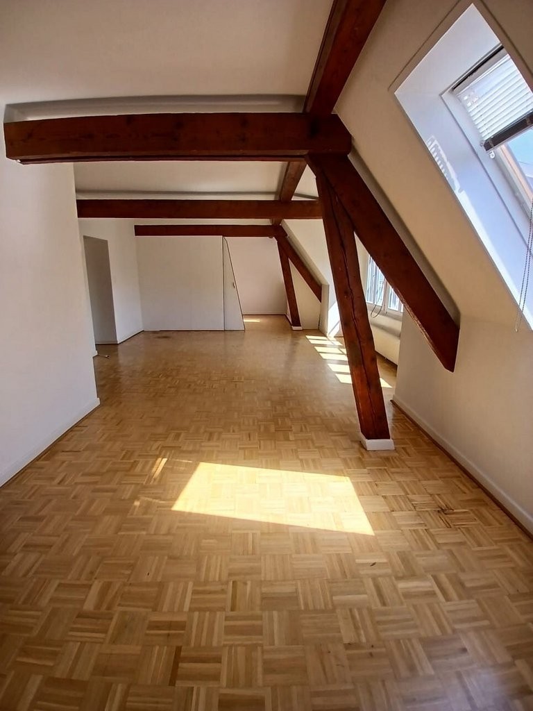 Charmant appartement à louer au coeur de Plainpalais ! - 2