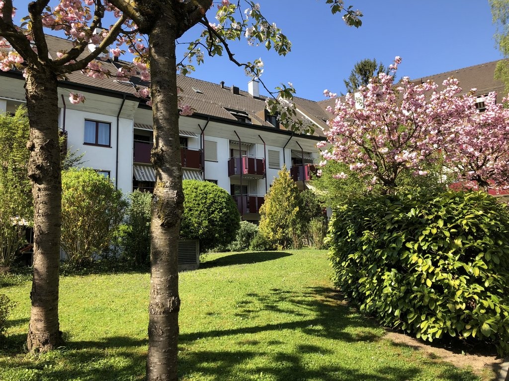 Erstvermietung nach Sanierung - Ihre Chance - 0
