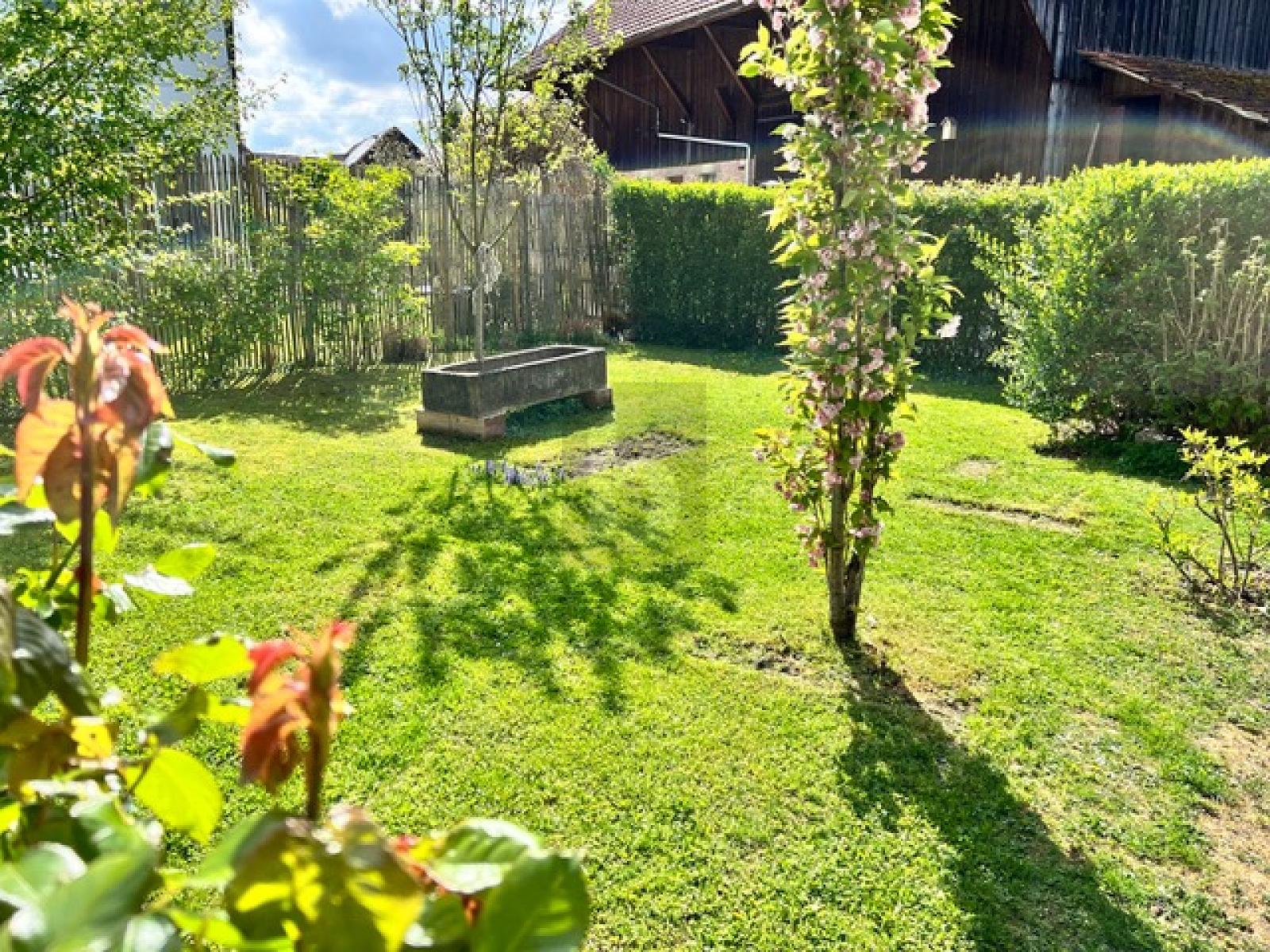 MODERNER TRAUM MIT GARTEN UND TERRASSE - 2