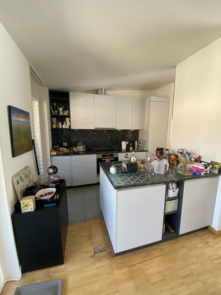 A saisir ! Magnifique appartement à deux pas du lac Léman ! - 3