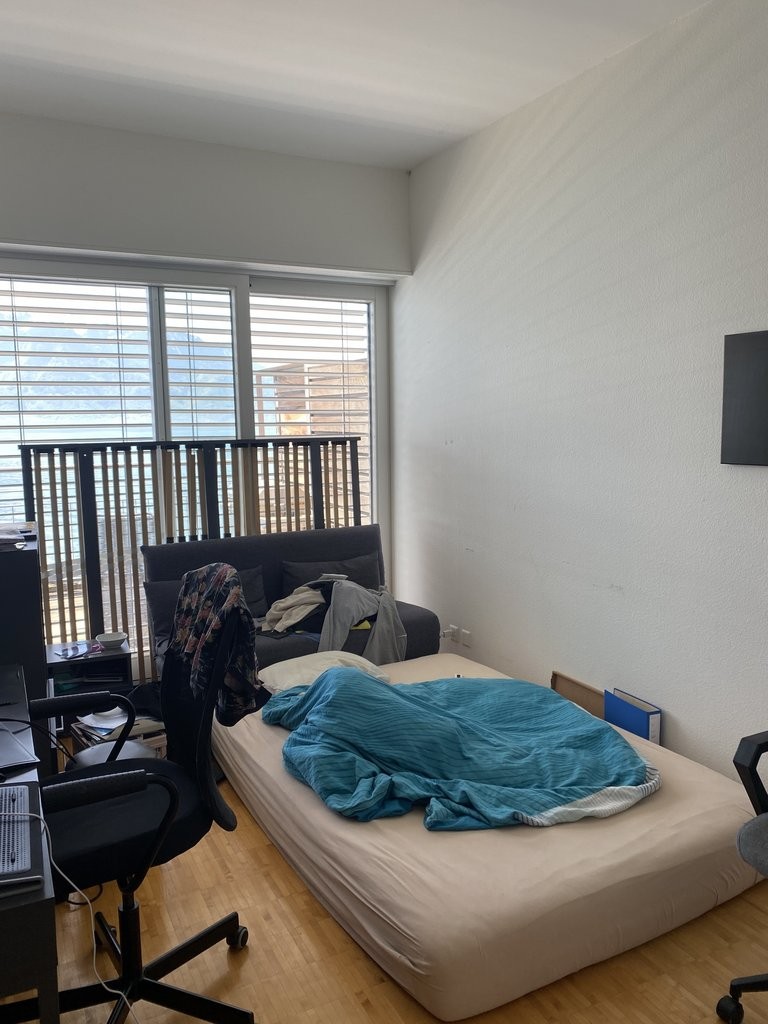 A saisir ! Magnifique appartement à deux pas du lac Léman ! - 6