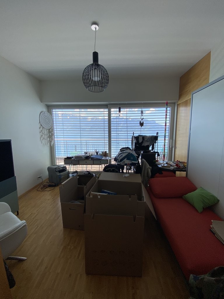 A saisir ! Magnifique appartement à deux pas du lac Léman ! - 7