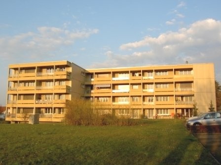 1 gratis Mietzins und stressfrei zügeln - 0