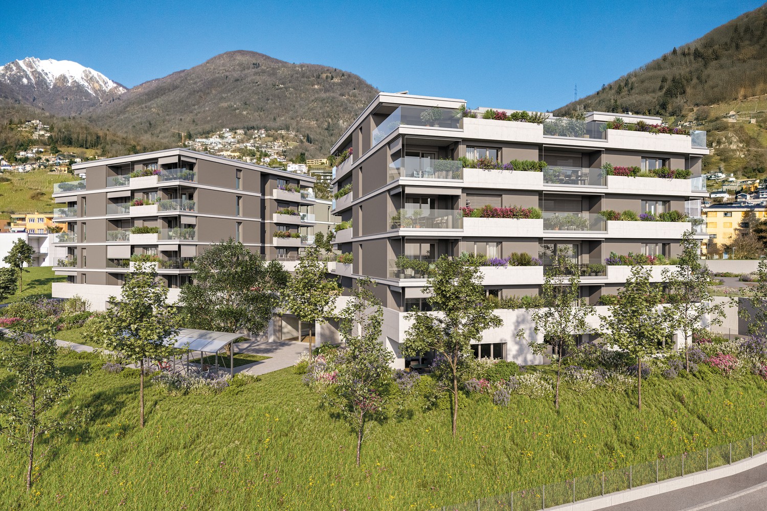 RESIDENZA HEDERA - PRIMA LOCAZIONE DI APPARTAMENTI MODERNI A TENERO-CONTRA - 2