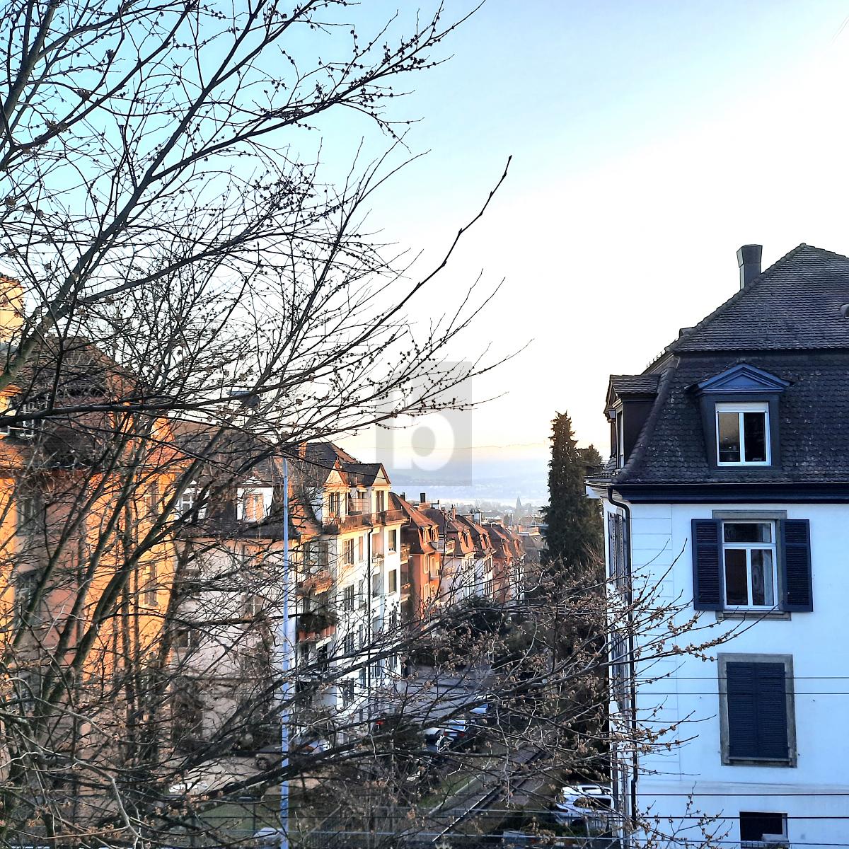 VILLA IM HERZEN VOM ZÜRICHBERG - 4