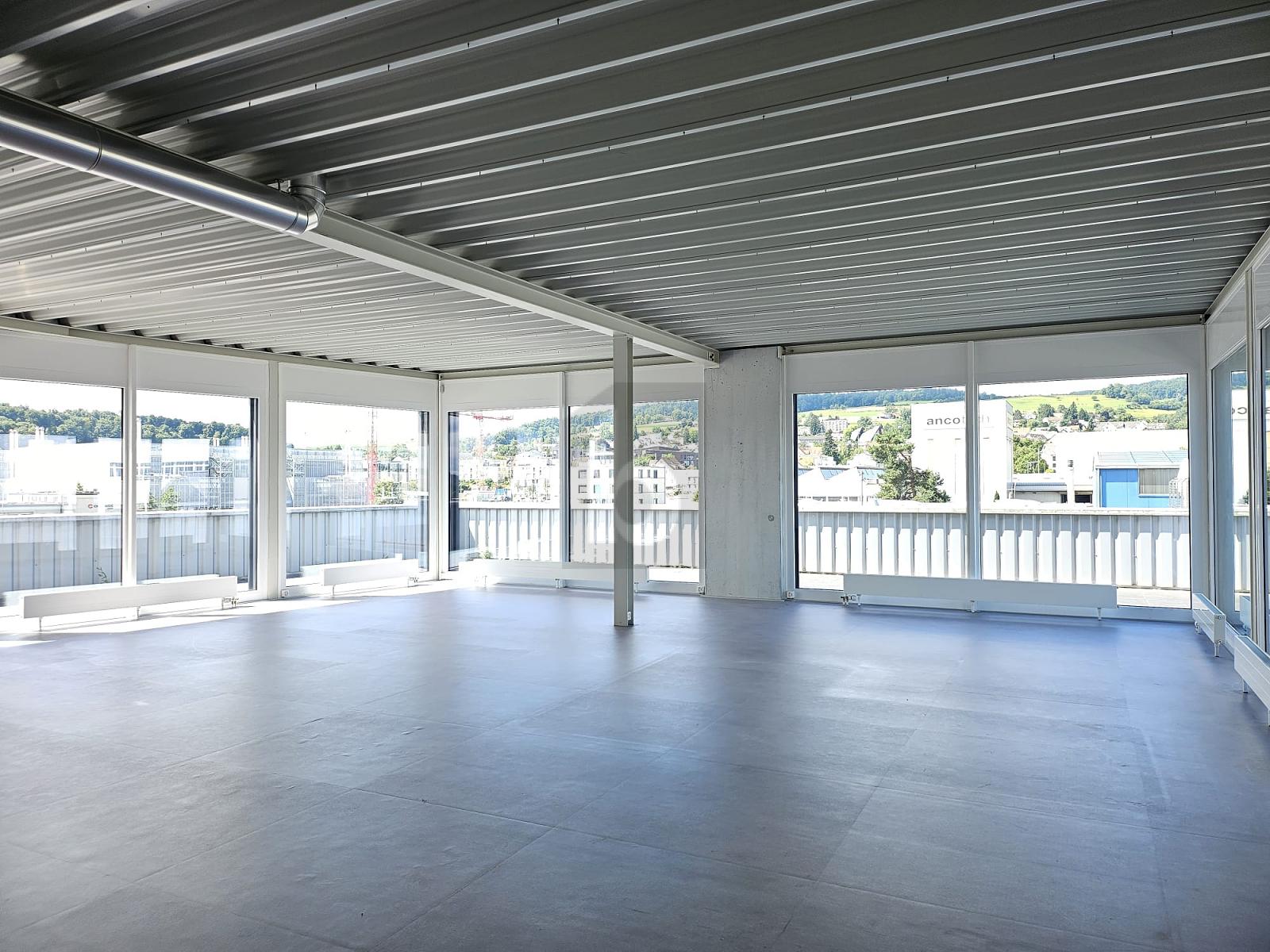 LOFT MIT EIGENER TERRASSE - 1