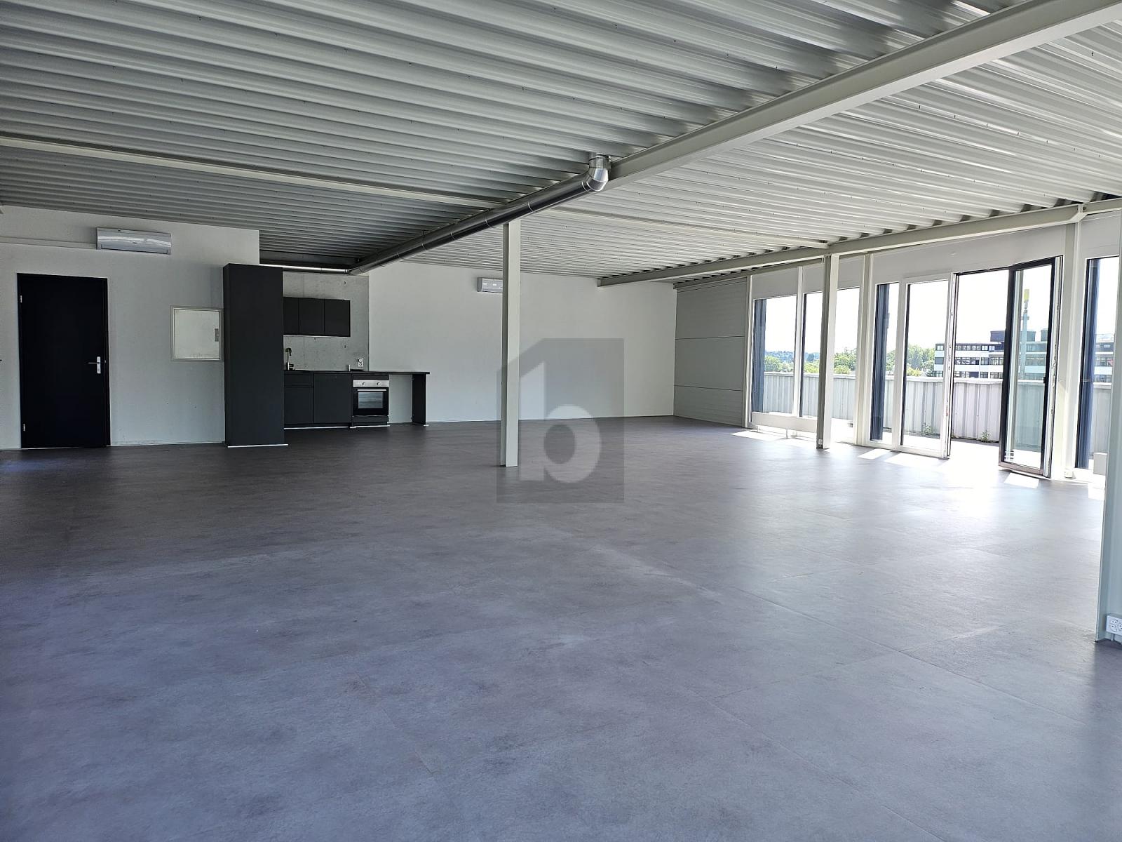 LOFT MIT EIGENER TERRASSE - 2