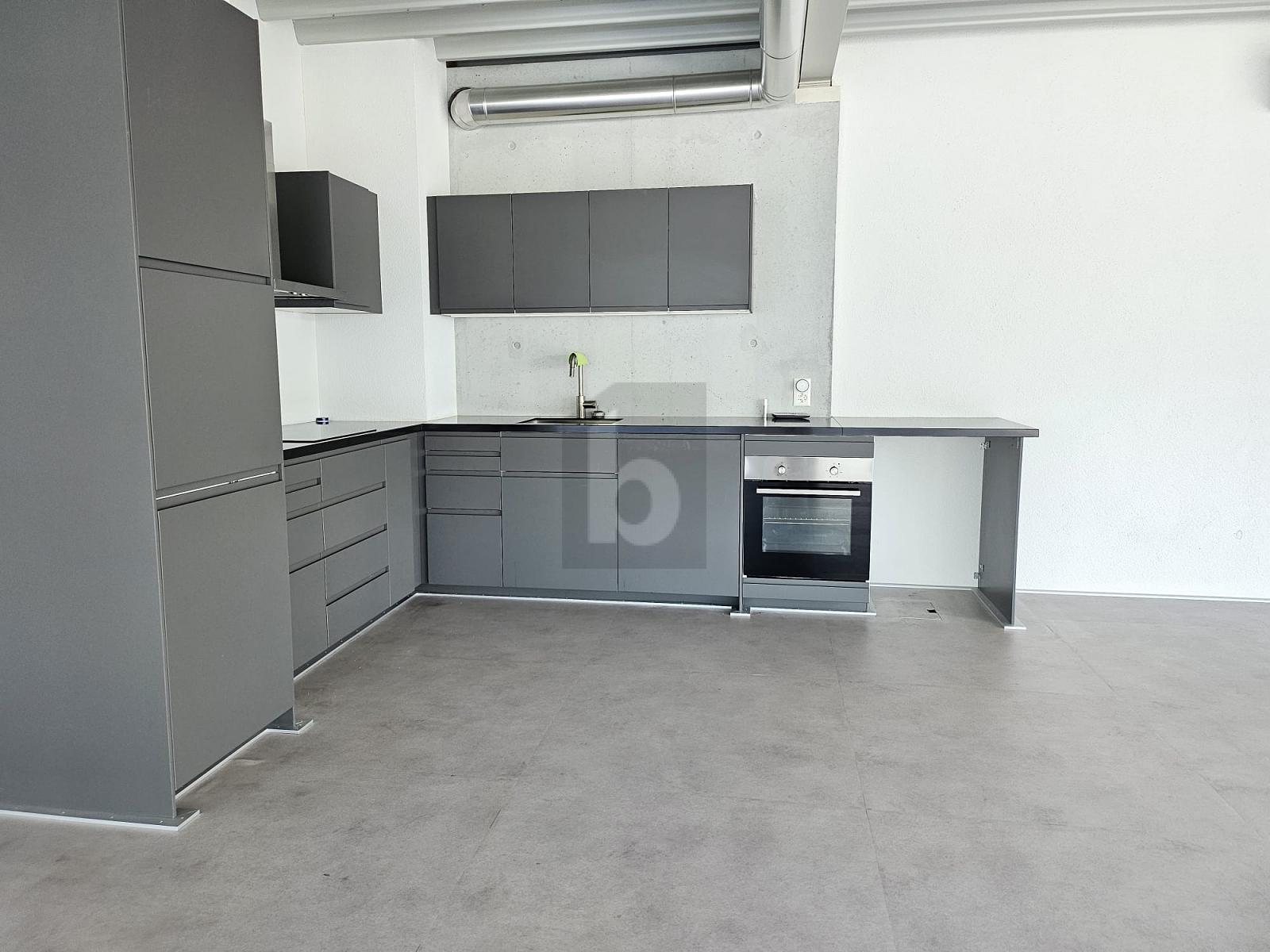 LOFT MIT EIGENER TERRASSE - 3