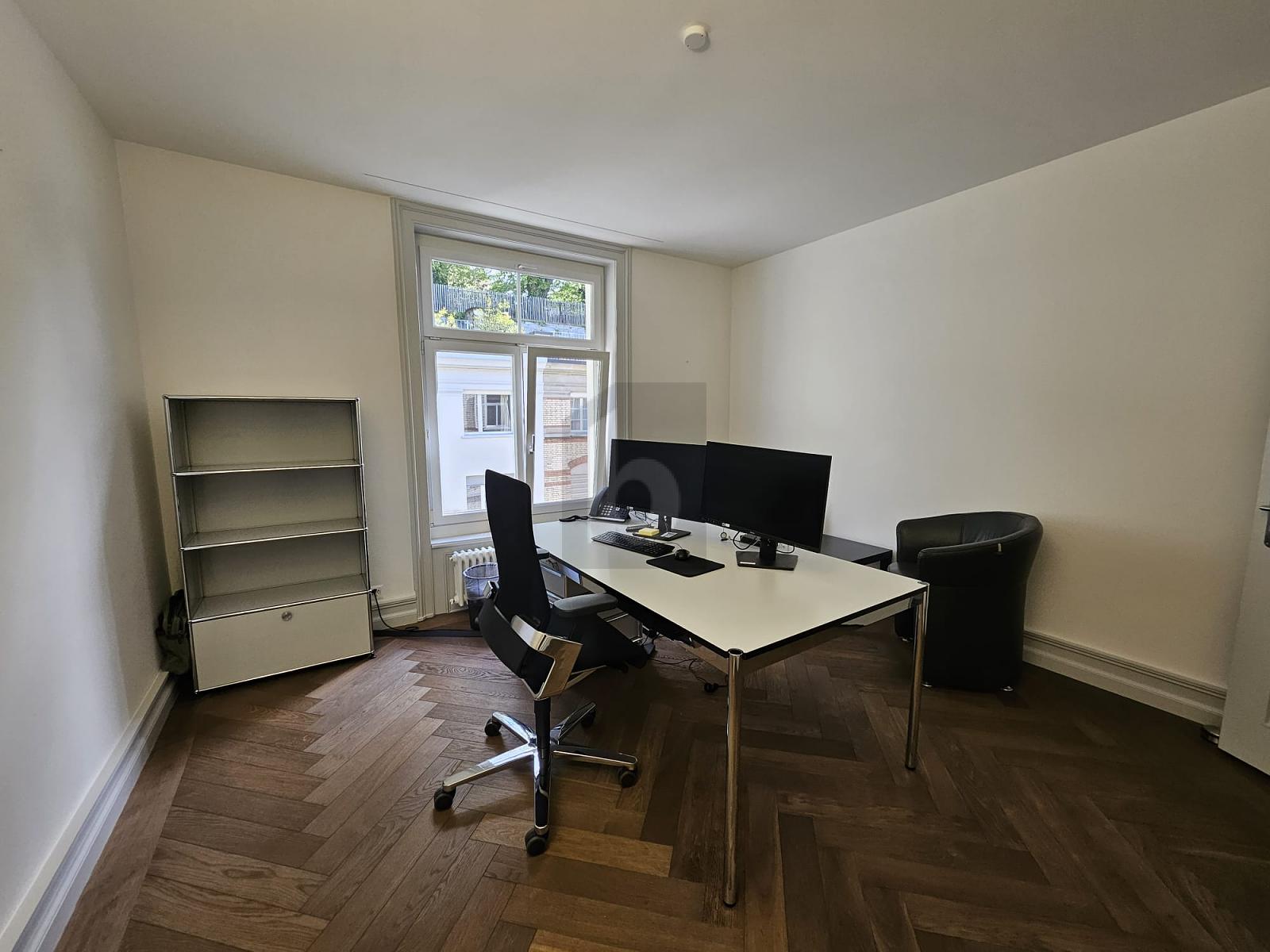 GEPFLEGT IN ZÜRCHER INNENSTADT - 2