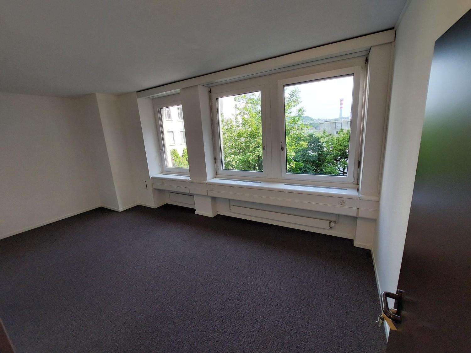 In the middle of Zürich, flexible and fully developed... - 1