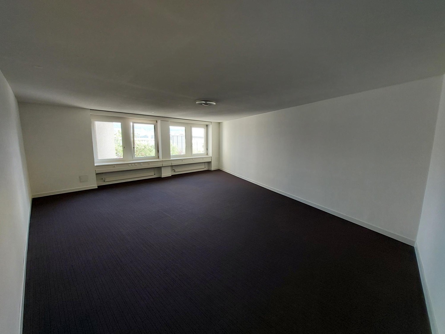 In the middle of Zürich, flexible and fully developed... - 1