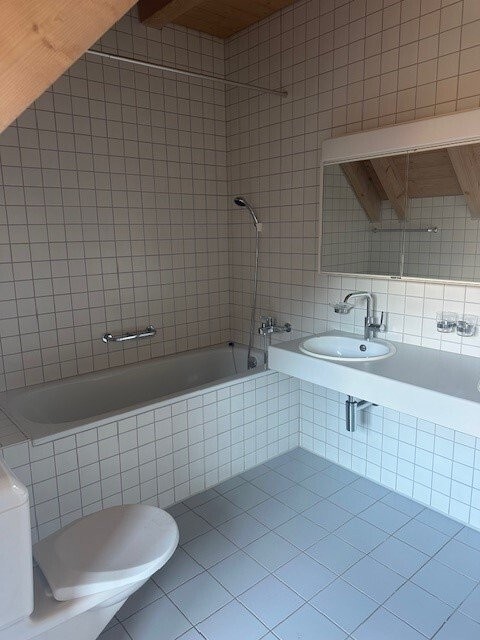 4.5-Zimmer Attika-Wohnung im Hirschen-Markt - 2