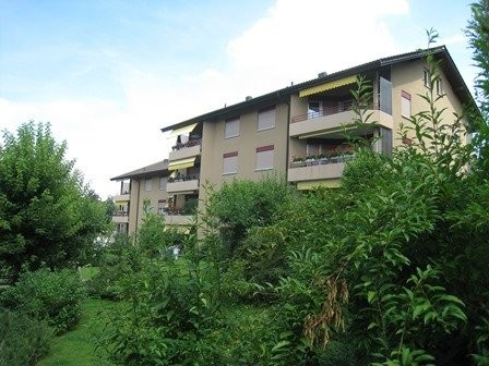 Charmante Wohnung an ruhiger Lage - 0
