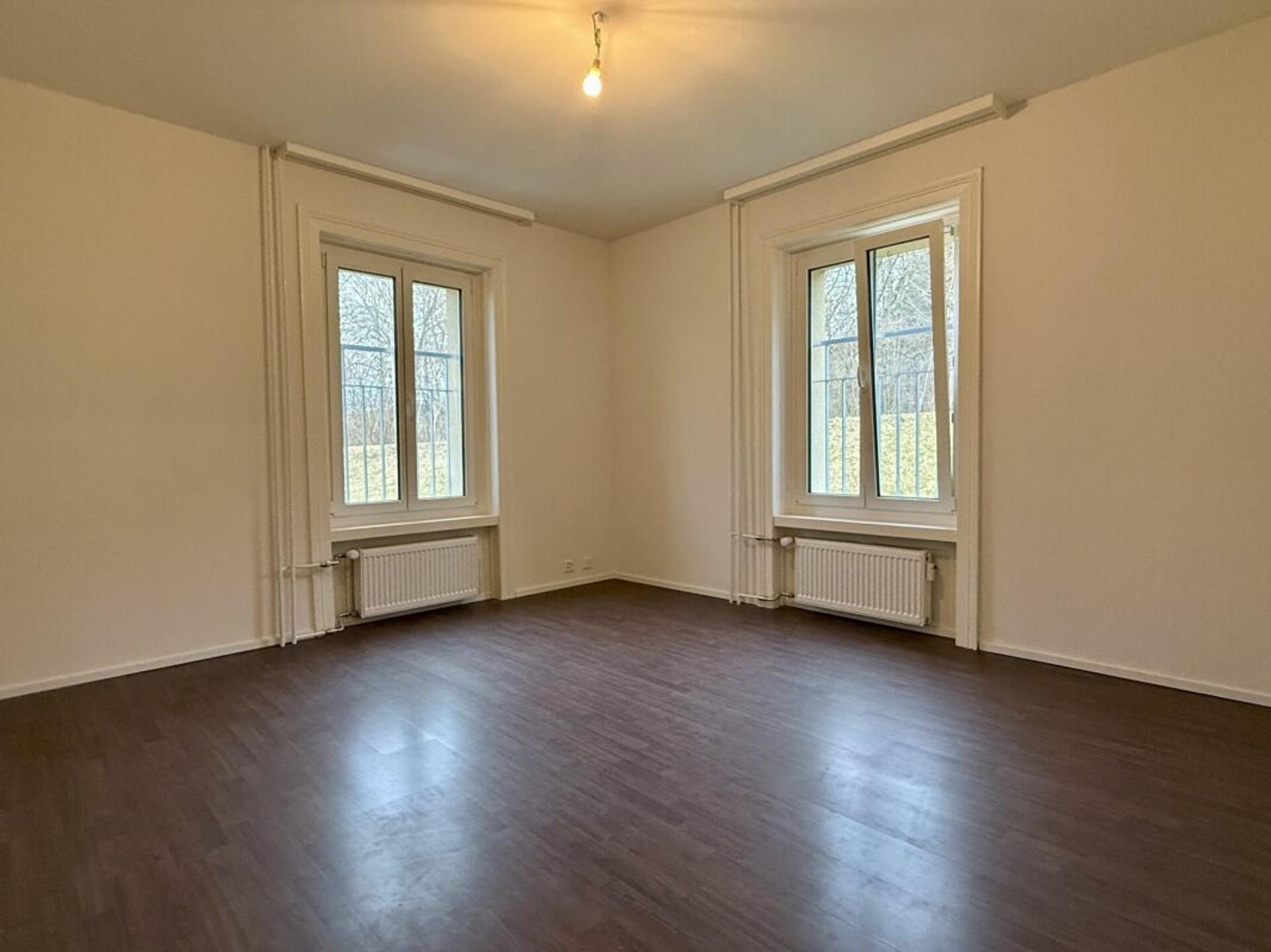 INVESTMENT PROPERTY NEAR GÜBSENSEE - 6