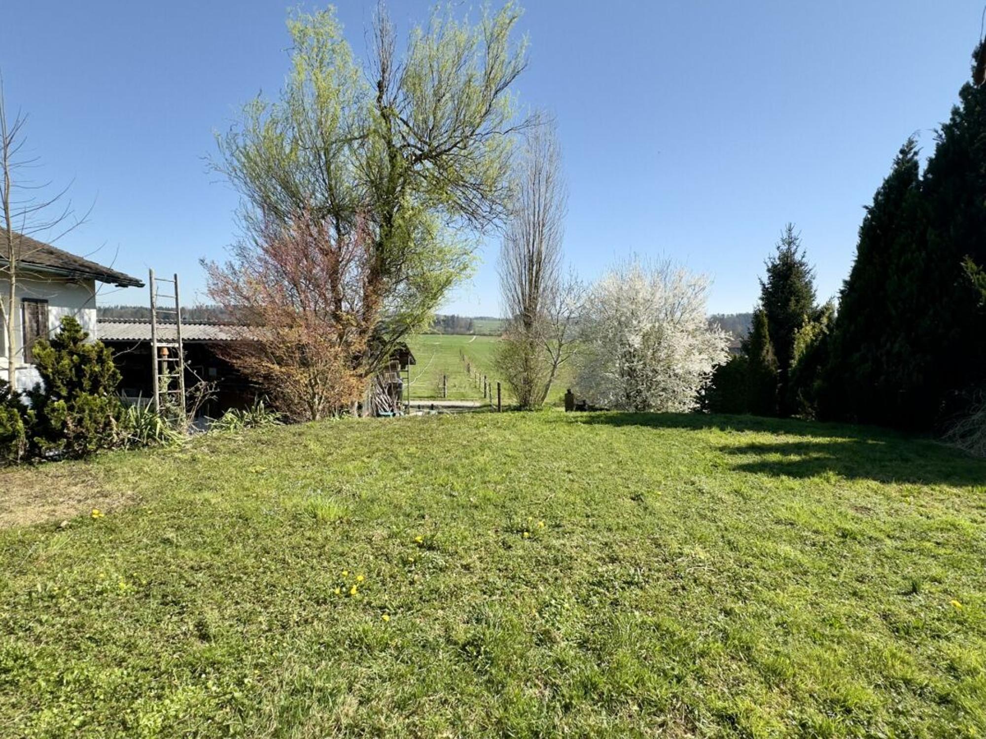 SPACIOUS PROPERTY IN A QUIET LOCATION - 3