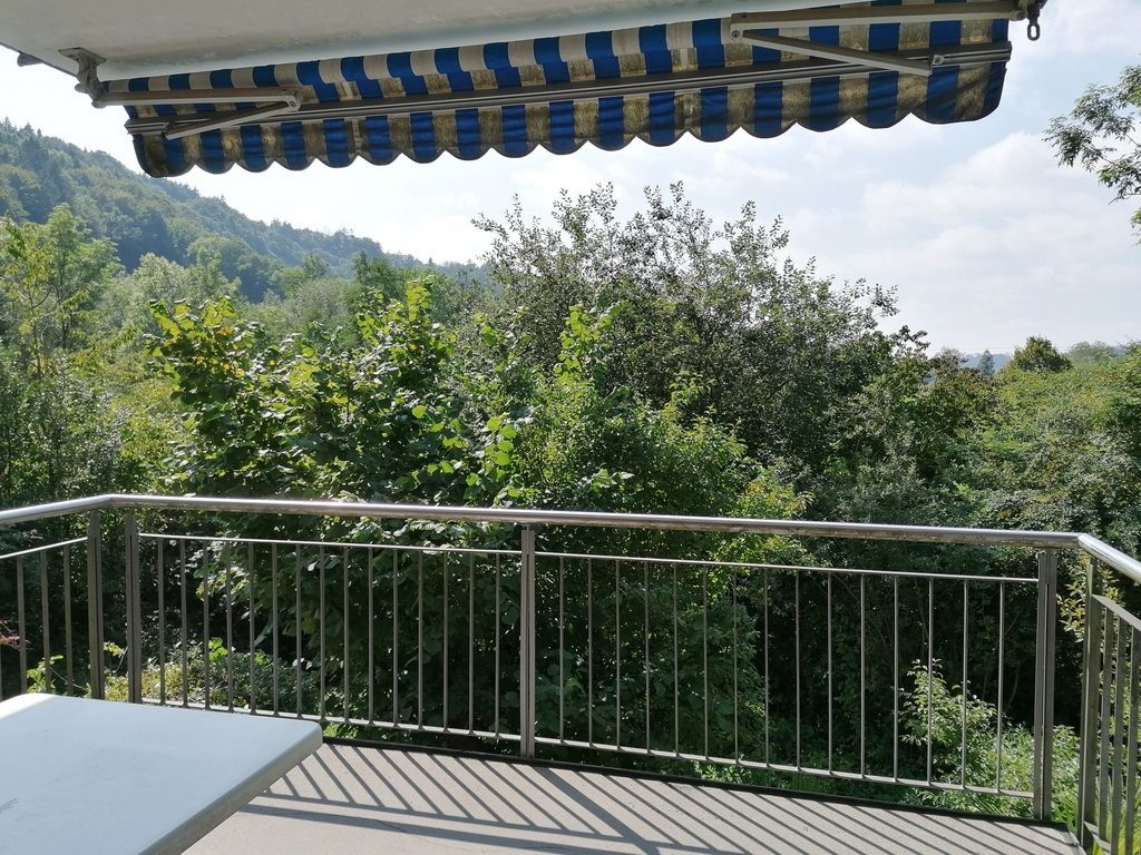 Ruhige Wohnung im Grünen! - 6