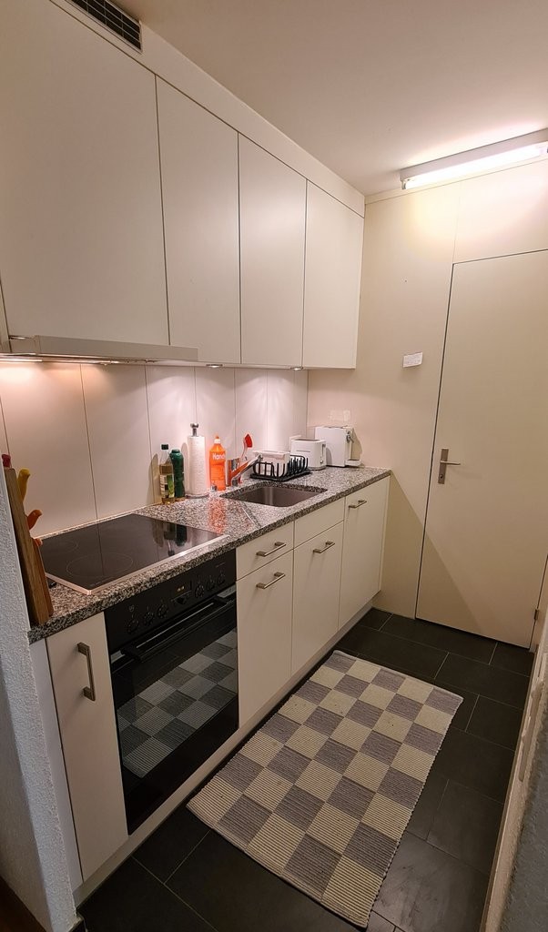 Ihr neues Zuhause mitten im Marzili! - 1
