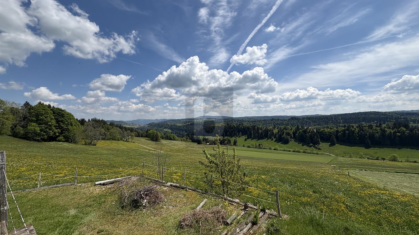 UNE VUE MAGNIFIQUE SUR LA NATURE - 0