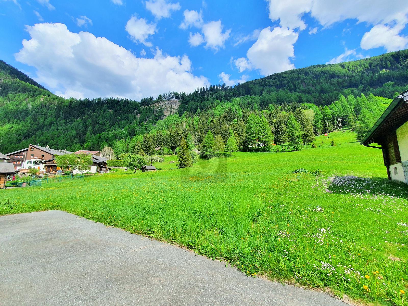 TERRAINS CONSTRUCTIBLES, AGRICOLES ET FORESTIERS - 1