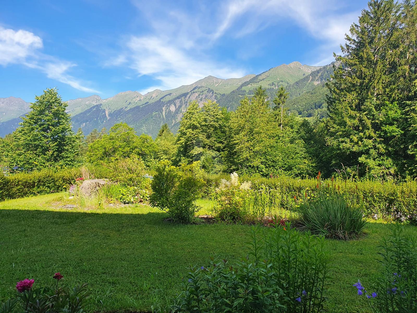 SEHR RUHIGE LAGE MIT AUSBLICK - 1