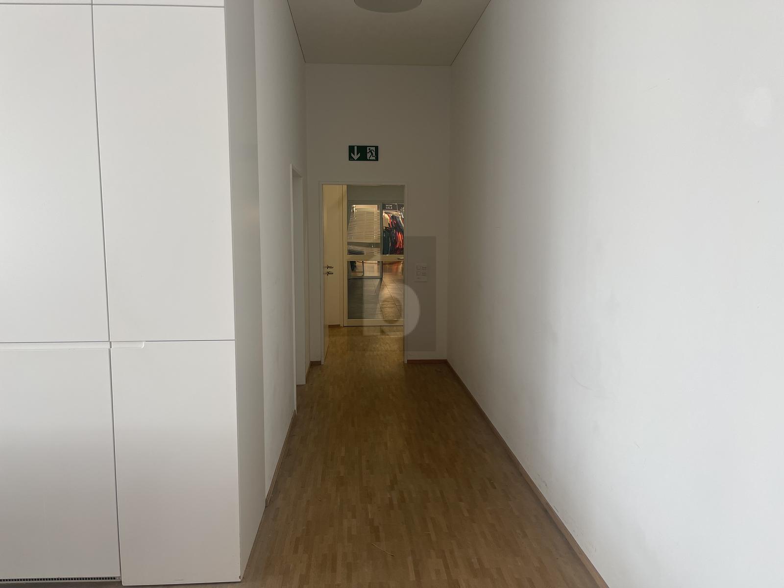 HELL UND LICHTDURCHFLUTET AN SEHR GUTER LAGE - 4
