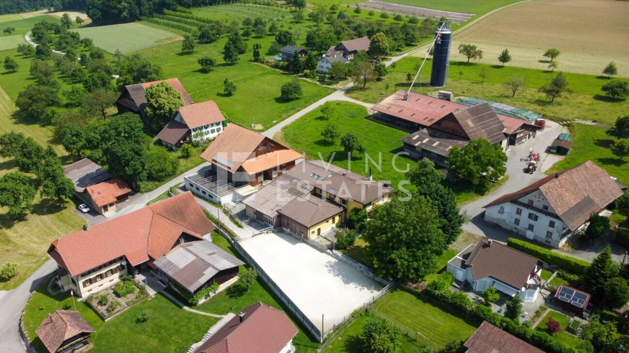 Charming estate with living comfort for humans and animals - 0