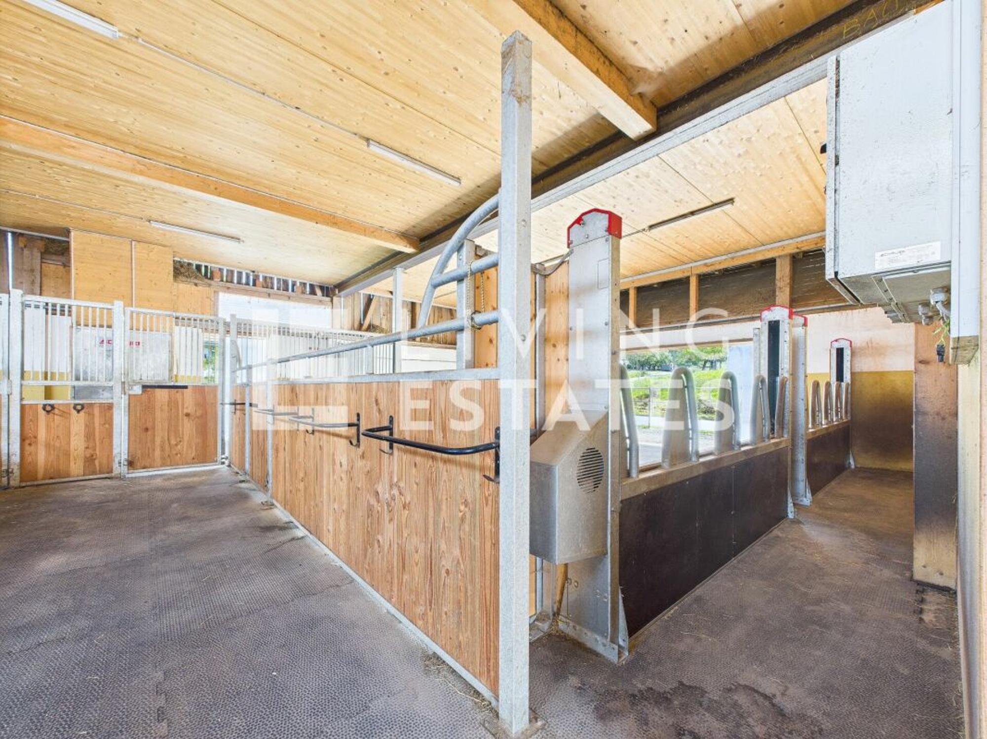 Charming estate with living comfort for humans and animals - 9