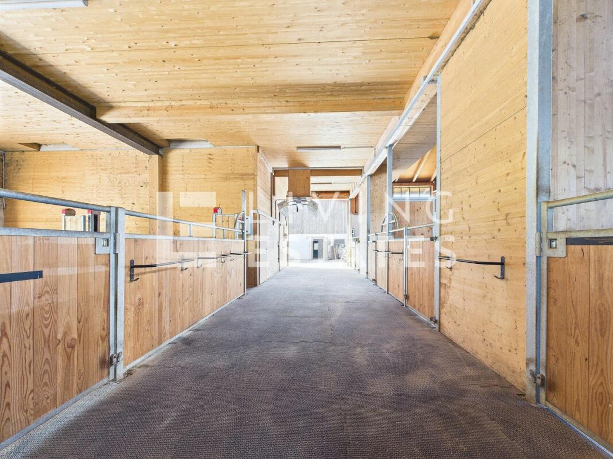 Charming estate with living comfort for humans and animals - 11