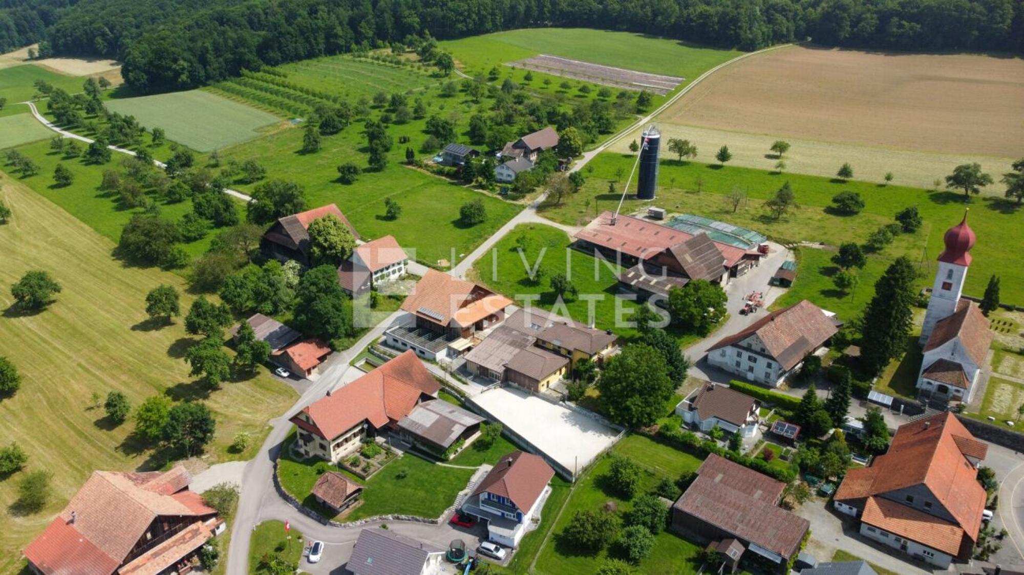 Charming estate with living comfort for humans and animals - 15