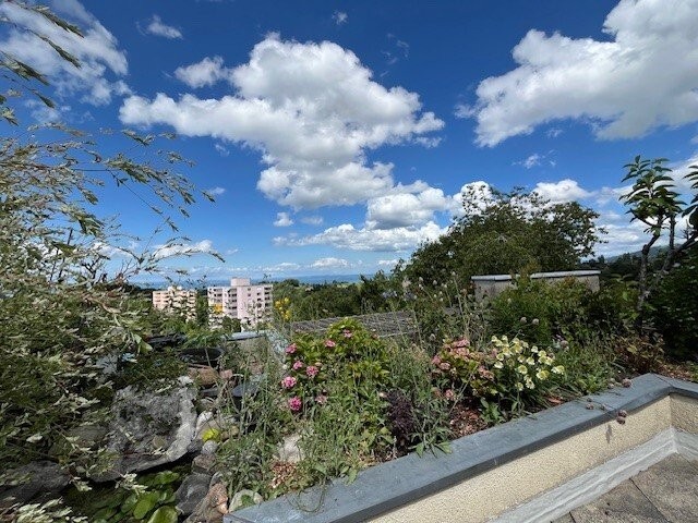 Ihr neues Zuhause - 5