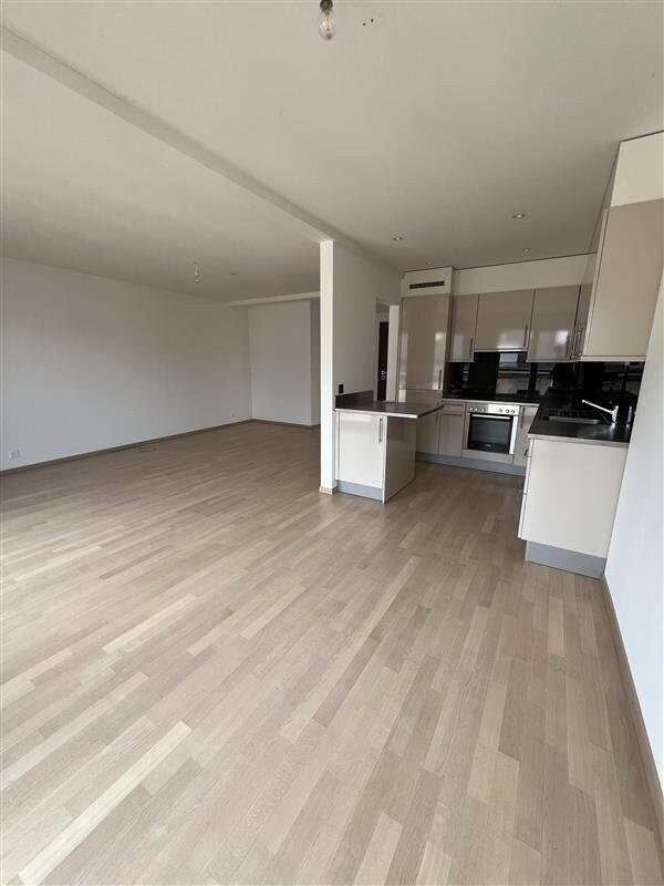 À saisir ! Magnifique appartement au centre de Genève ! - 2