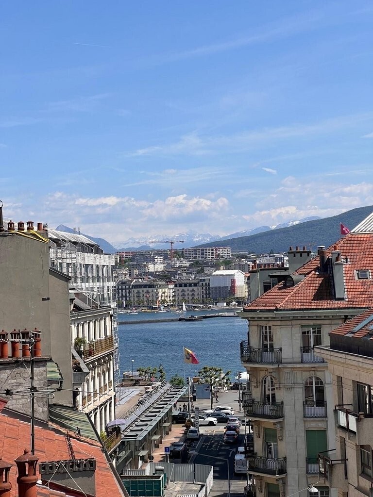 À saisir ! Magnifique appartement en attique au coeur de Genève ! - 9