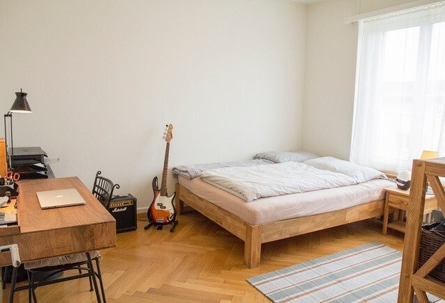 Ihr Ruhepol in Zürich grün und zentral gelegen - 3
