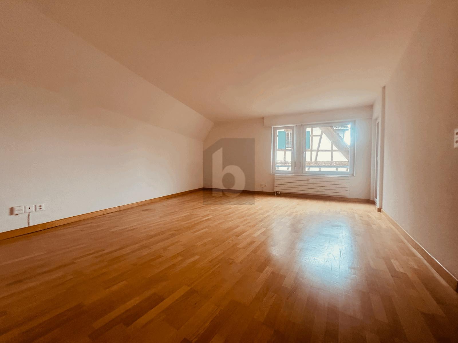 ZENTRAL, NAHE RHEIN MIT BALKON - 0