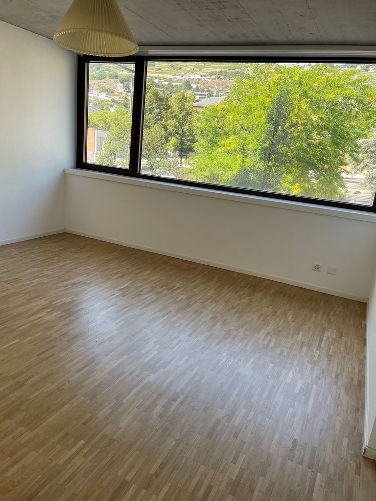 À saisir ! Magnifique logement dans le complexe de la Matze ! - 3