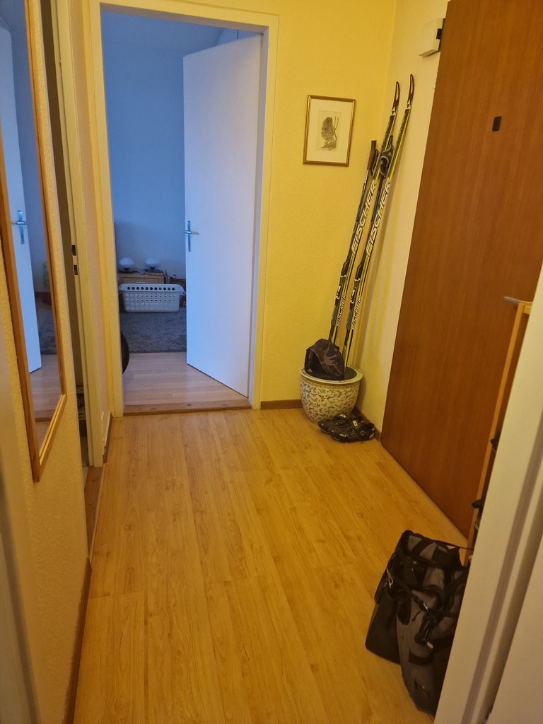 A saisir ! Magnifique appartement au coeur de Nyon ! - 1