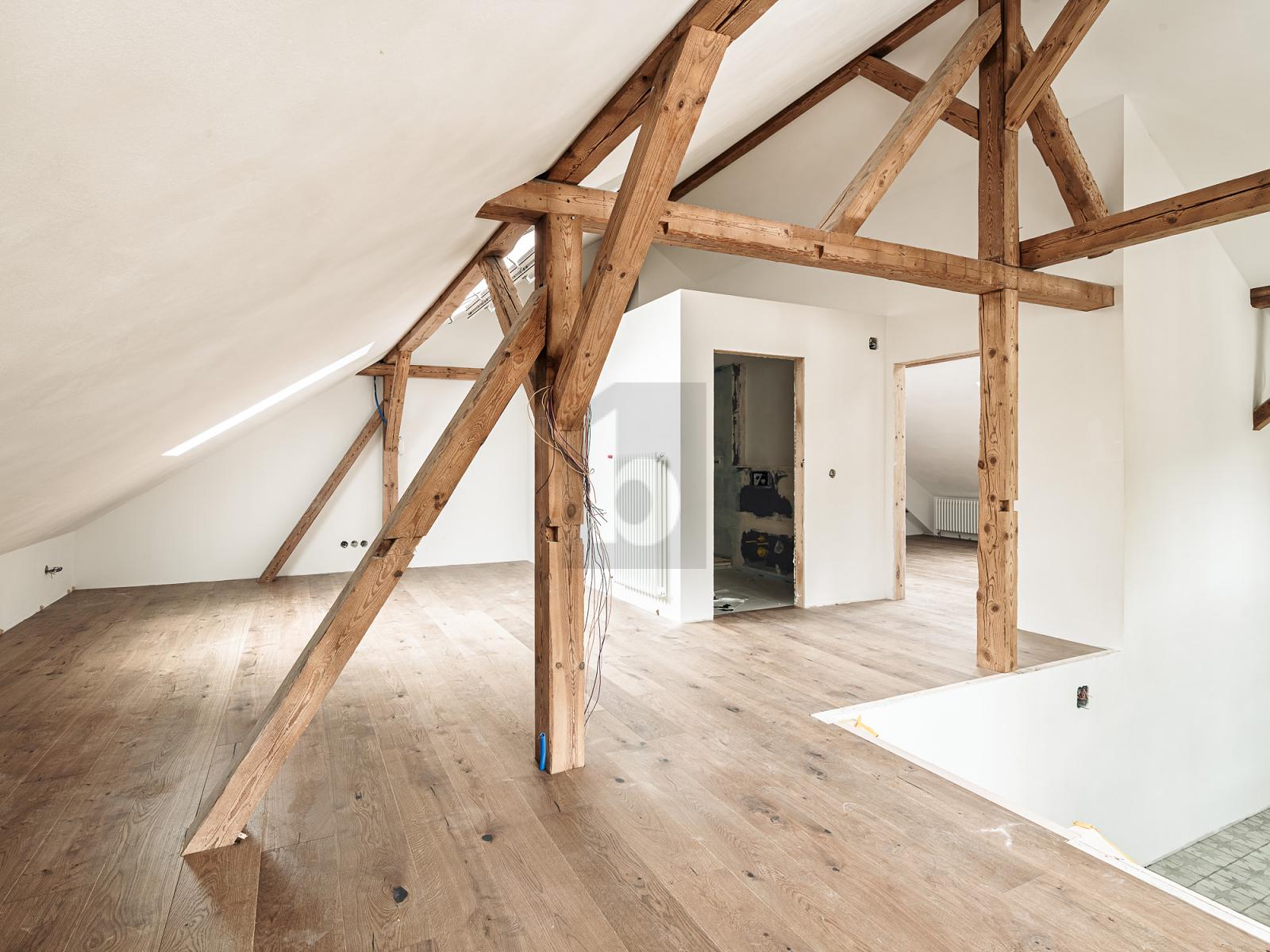 NEUBAU MIT OFFENER KÜCHE UND HOHEN RÄUMEN! - 2