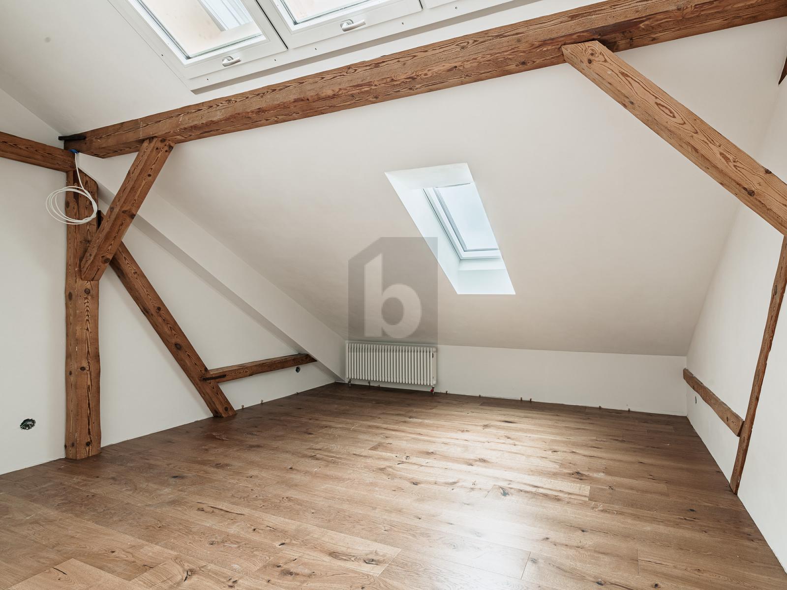 NEUBAU MIT OFFENER KÜCHE UND HOHEN RÄUMEN! - 3