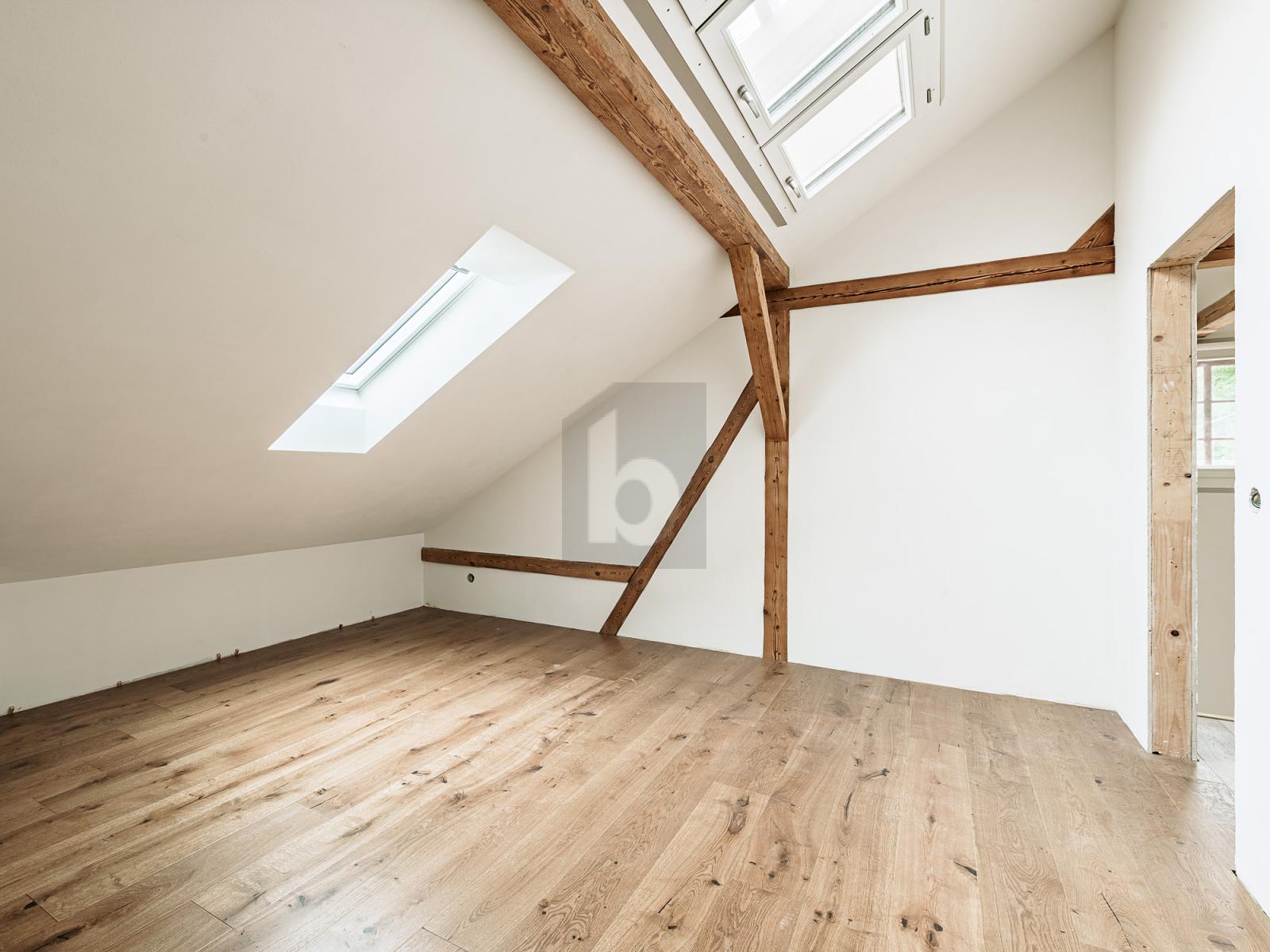 NEUBAU MIT OFFENER KÜCHE UND HOHEN RÄUMEN! - 4