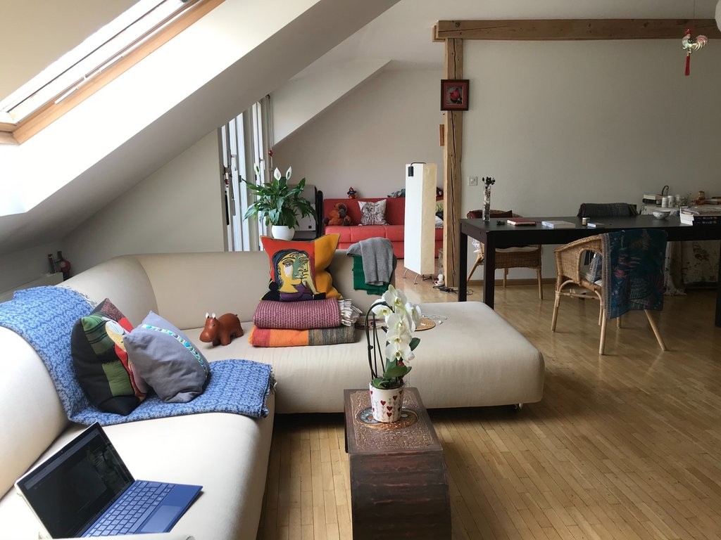 Charmante Dachwohnung - 1