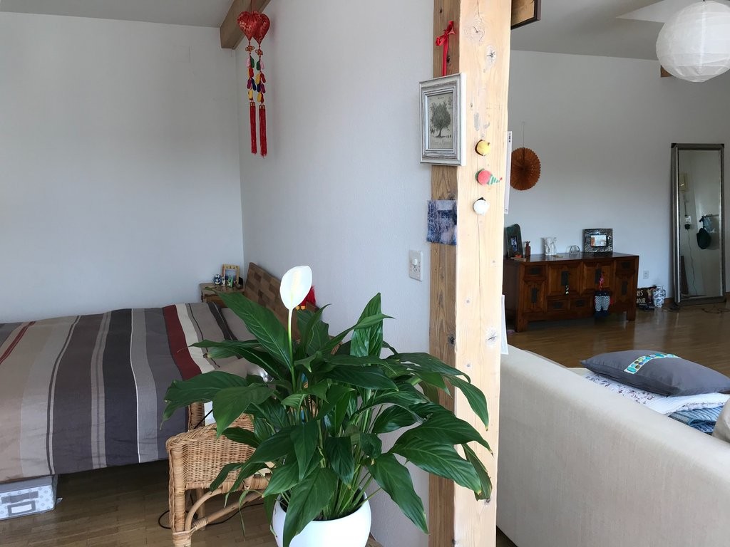 Charmante Dachwohnung - 4