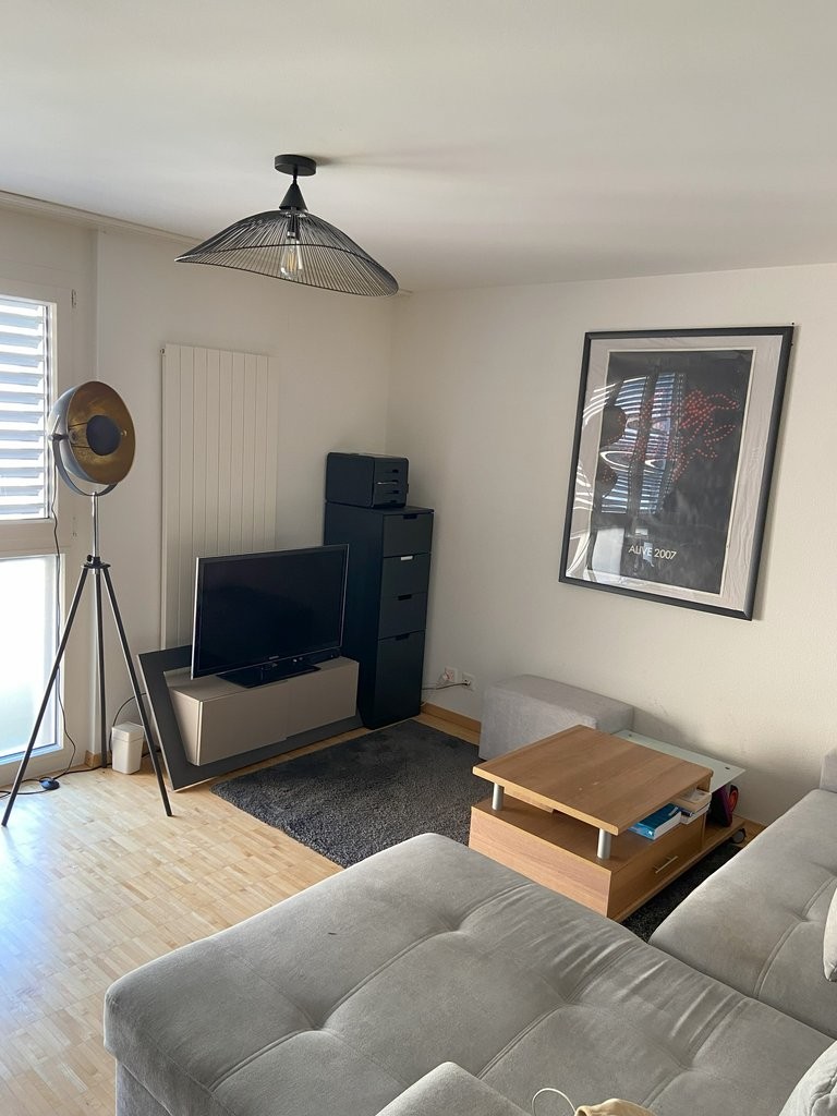 A saisir ! Magnifique appartement à deux pas du lac Léman ! - 1